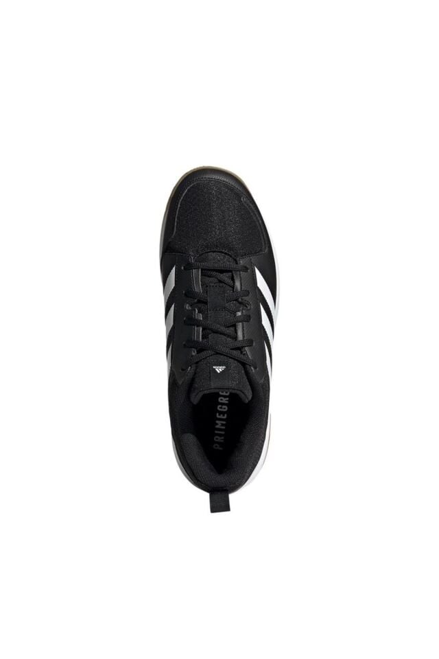 Adidas FZ4658 Ligra 7 M Erkek Voleybol Spor Ayakkabısı